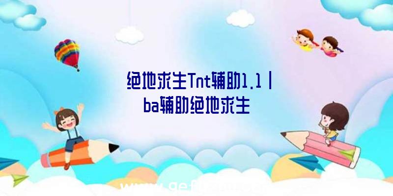 「绝地求生Tnt辅助1.1」|ba辅助绝地求生